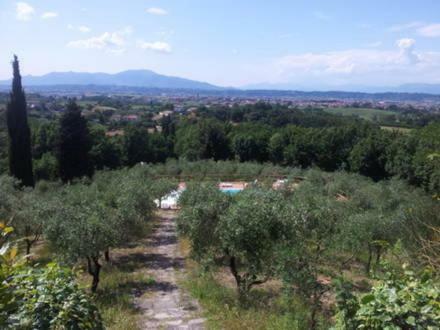 Agroturismo Tenuta Di Montalto