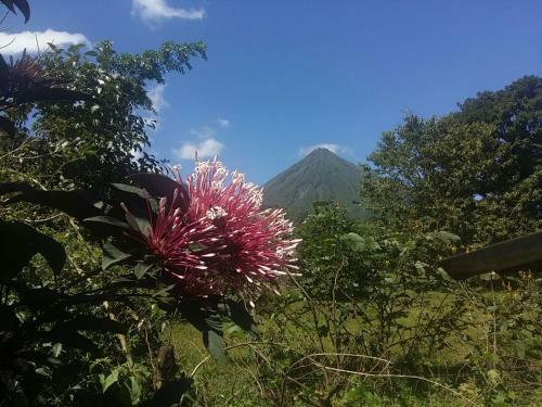 T�o Felix Eco Lodge