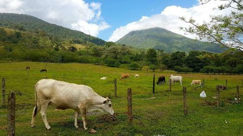 T�o Felix Eco Lodge