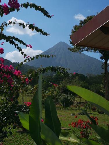 T�o Felix Eco Lodge