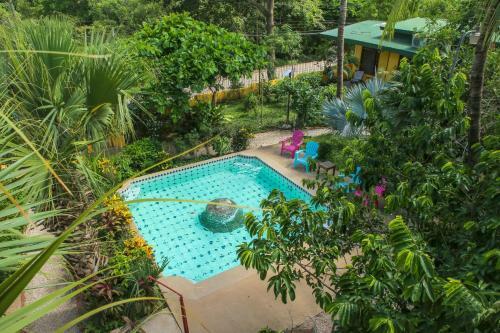 El Mono Loco Hotel