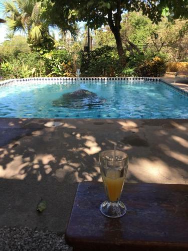 El Mono Loco Hotel