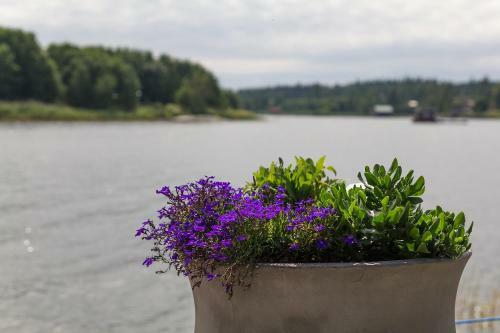 Bed & Breakfast Tynder� G�rd