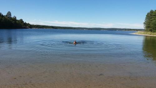Bed & Breakfast Tynder� G�rd