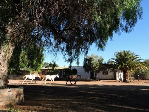 Agroturismo Savanna Guest Farm