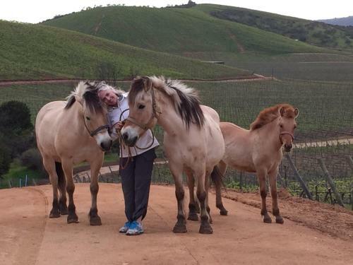 Agroturismo Casavino Casablanca