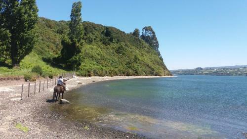 Lodge Refugio Pullao