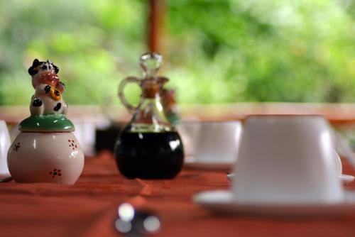 Bed & Breakfast Brisas Del Paraiso