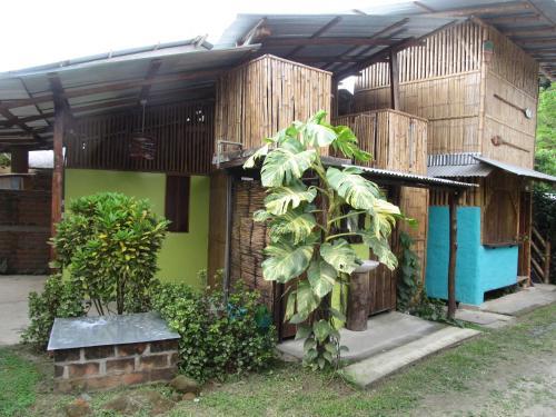 The Mudhouse Hostel