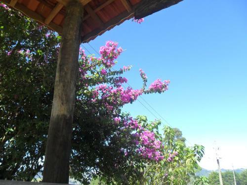 Fazenda Monte Verde A Morada Do Muriqui