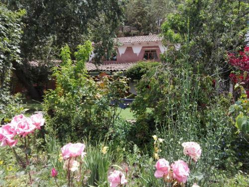Bed & Breakfast Ecolodge Ccatan
