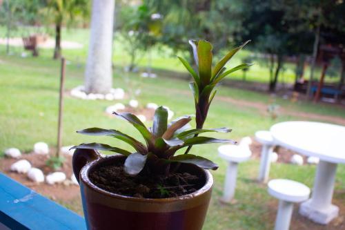 Posada Pousada Minha Gl�ria