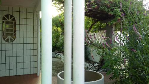 Praieiro Hostel Albergue