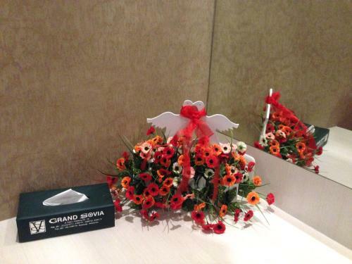 Grand Sovia Hotel