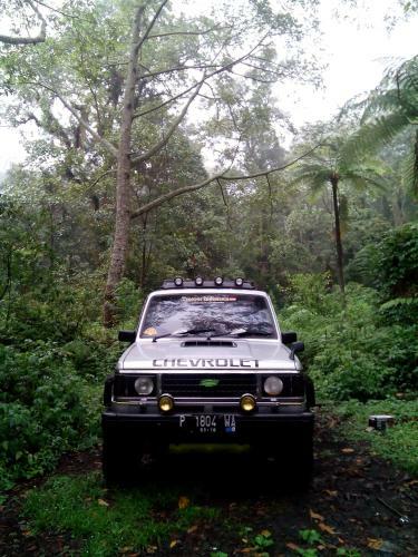Banyuwangi Homestay