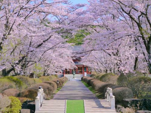 Tateshina Onsen Hotel Shinyu