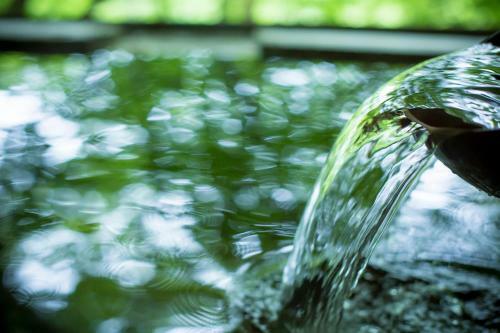 Tateshina Onsen Hotel Shinyu