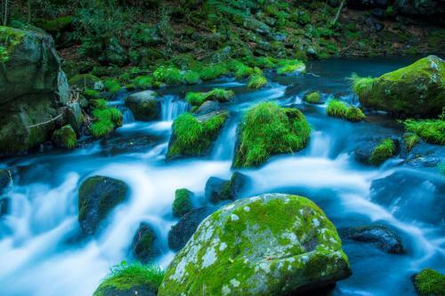 Tateshina Onsen Hotel Shinyu