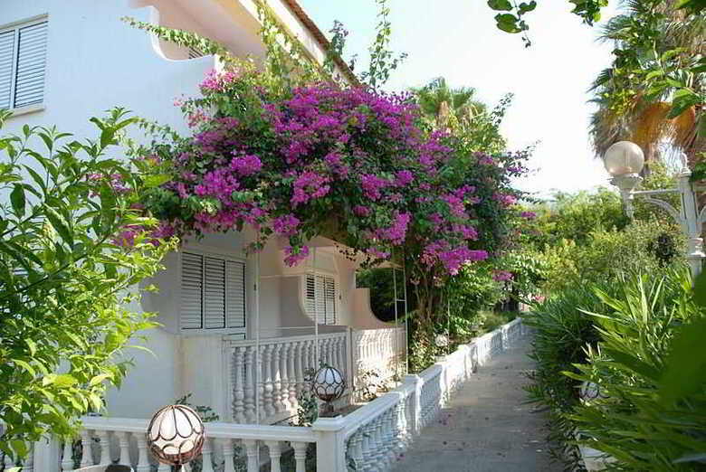 Hotel Riverside Garden Resort