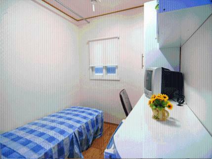Hostal Elm Tree Guesthouse Myeongdong
