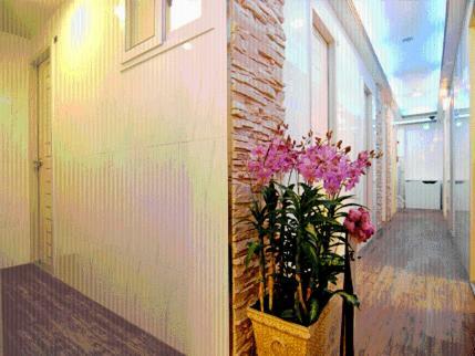 Hostal Elm Tree Guesthouse Myeongdong