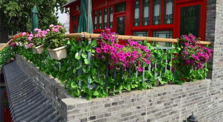 Beijing 161 Lama Temple Courtyard Hotel