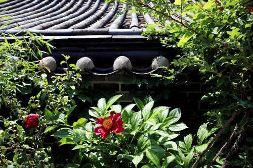 Hostal Chiwoonjung