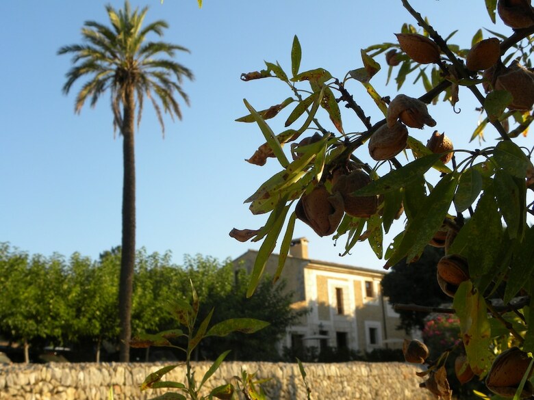 Hotel Son Siurana