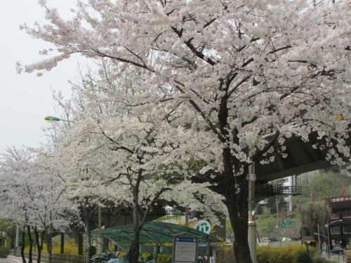Hostal Yeon Guesthouse