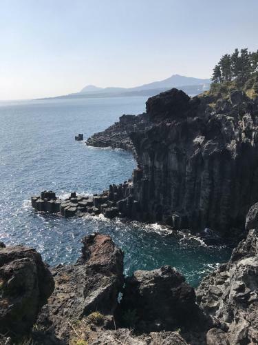 Dreaming Forest Seogwipo