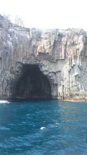 Dreaming Forest Seogwipo