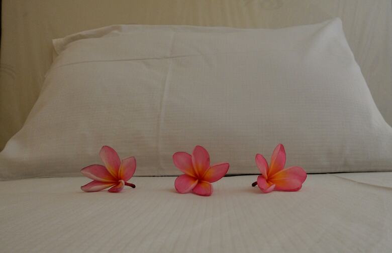 Hostal Bali Natural Homestay