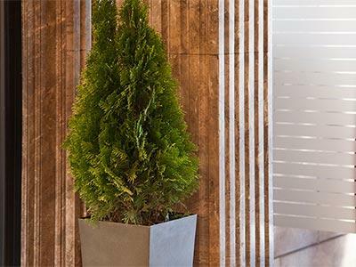 Hotel NH Collection Buenos Aires Lancaster