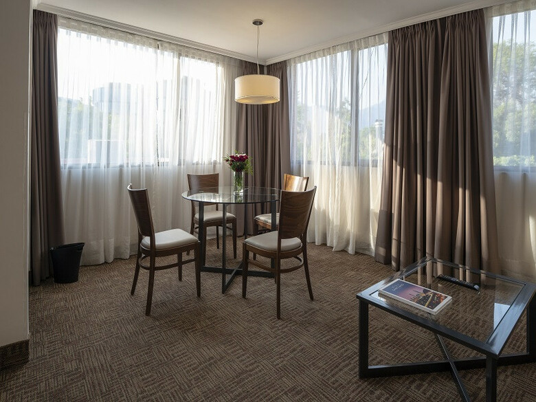 Hotel Director Vitacura