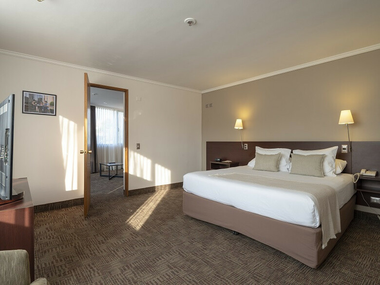 Hotel Director Vitacura