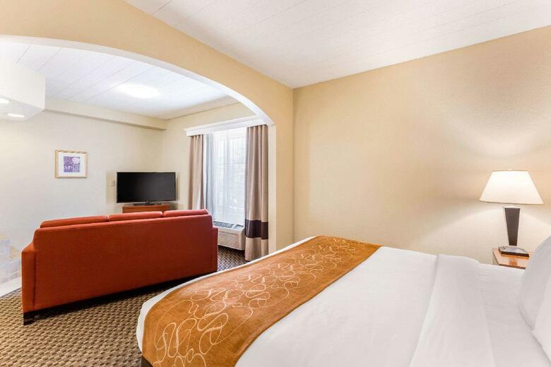 Hotel Comfort Suites Columbia Gateway