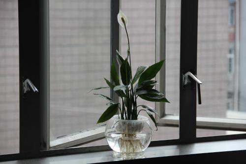 Chengdu Meizhixing Hotel
