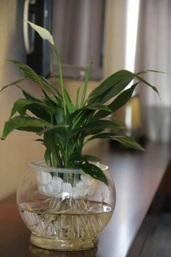 Chengdu Meizhixing Hotel