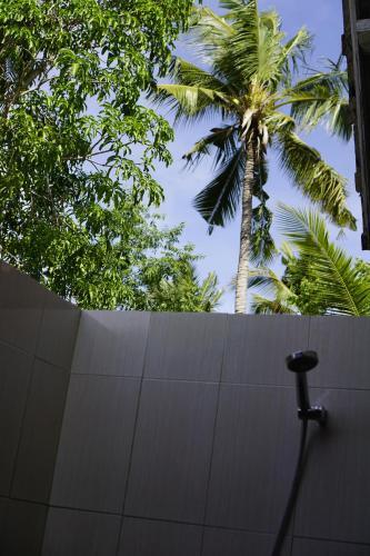 Hostal Coconut Village Guest House