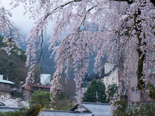 Arima Onsen Motoyu Ryuusenkaku