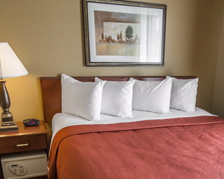 Hotel Comfort Inn South