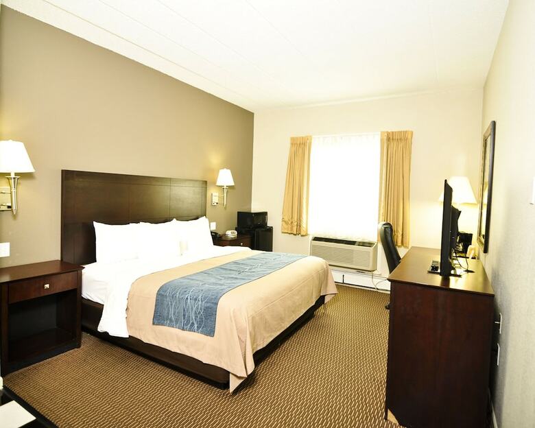 Hotel Comfort Inn (sandusky)