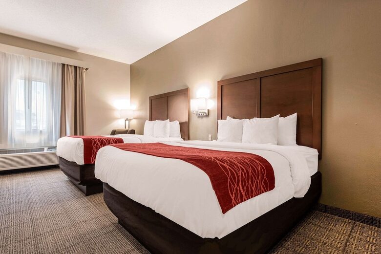 Hotel Comfort Inn & Suites (streetsboro)