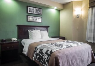 Hotel Sleep Inn (sumter)