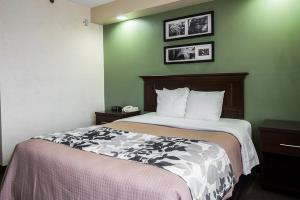 Hotel Sleep Inn (sumter)