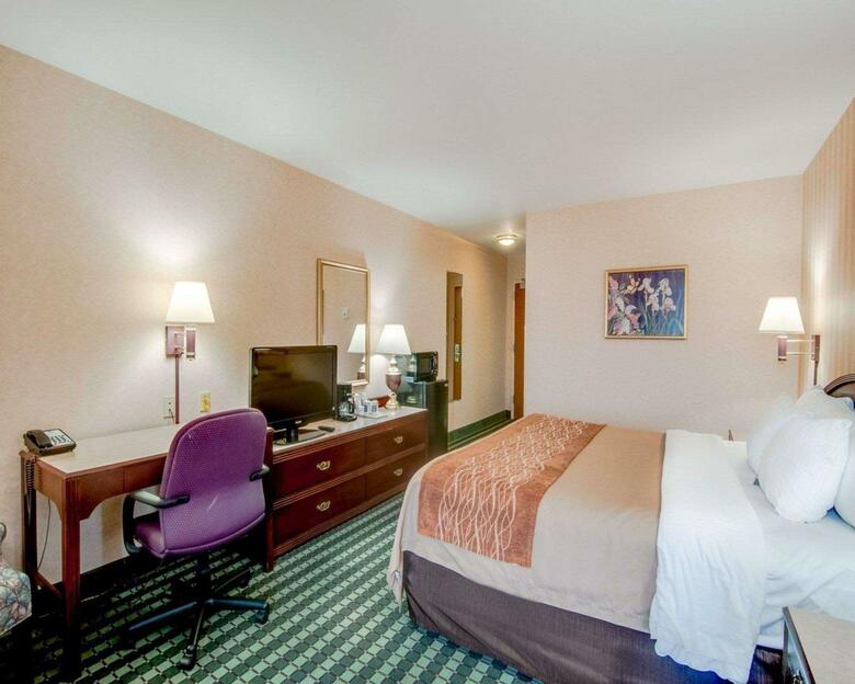 Hotel Comfort Inn Airport