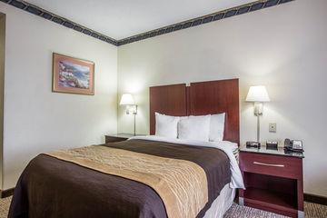 Hotel Comfort Inn & Suites Ft.jackson Maingate