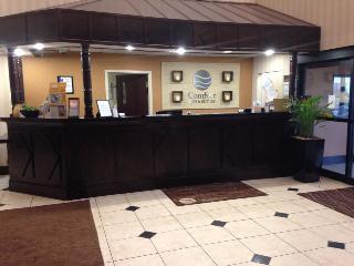 Hotel Comfort Inn & Suites Ft.jackson Maingate