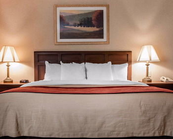 Hotel Comfort Inn (livonia)