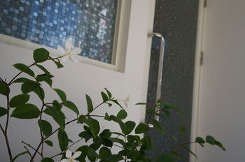 Albergue Casa Blanca Guesthouse